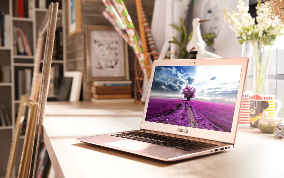 ZenBook UX303UB